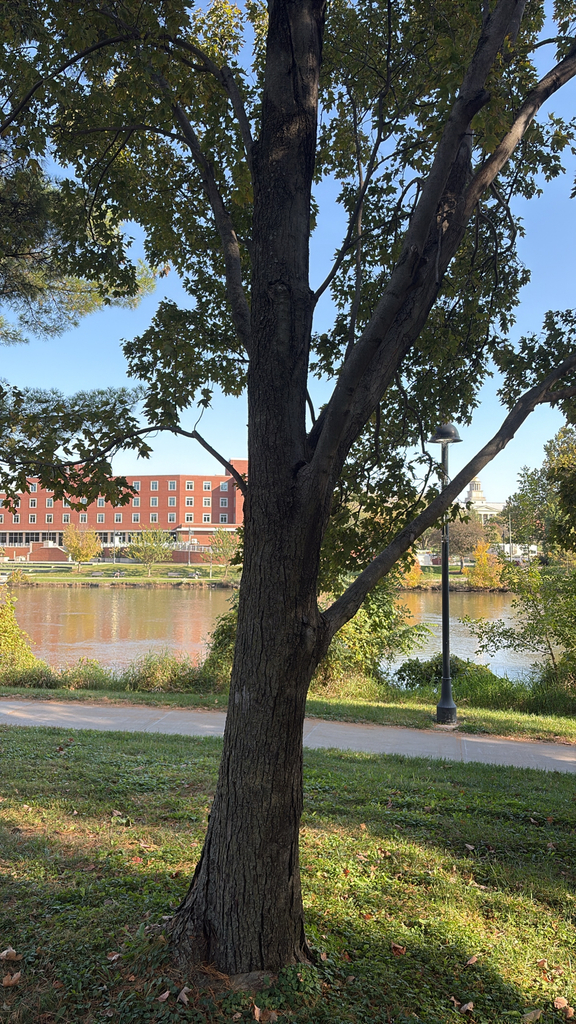 A photograph taken in Iowa on Oct 22, 2026, where the observer’s point is approximate.