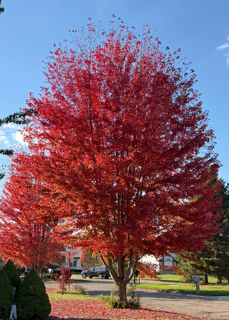 A photograph taken in Michigan on Oct 22, 2026, where the observer’s point is approximate.