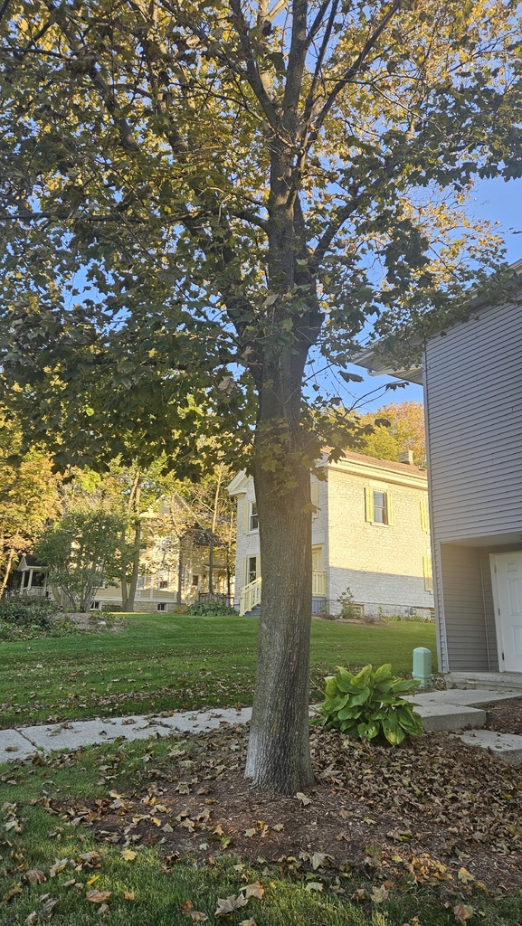 A photograph taken in Wisconsin on Oct 22, 2026, where the observer’s point is approximate.