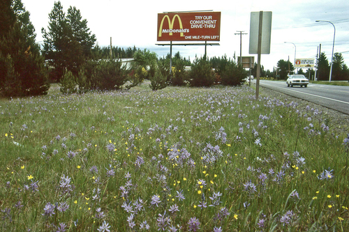 small camas