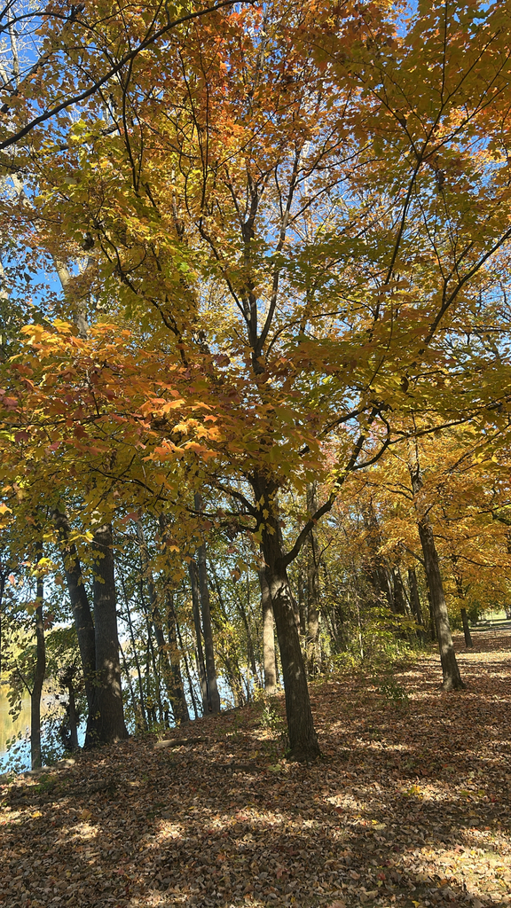 A photograph taken in Michigan on Oct 23, 2026, where the observer’s point is approximate.