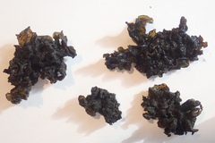 Lathagrium fuscovirens