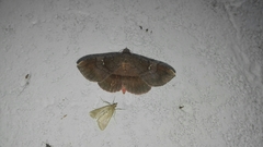 Azeta