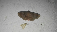 Azeta