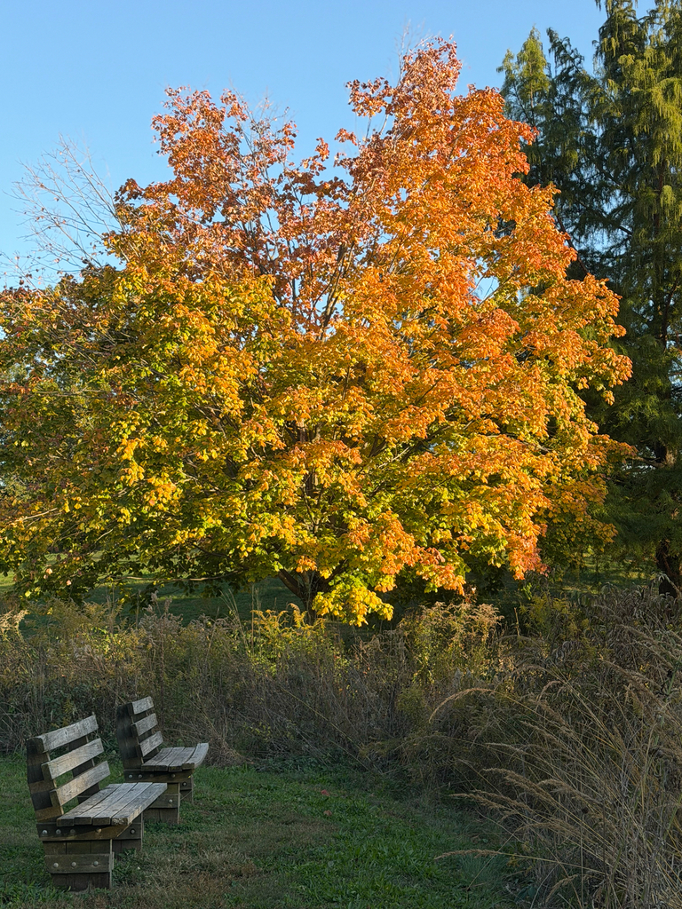 A photograph taken in Illinois on Oct 23, 2026, where the observer’s point is approximate.