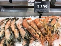 Aristaeomorpha foliacea