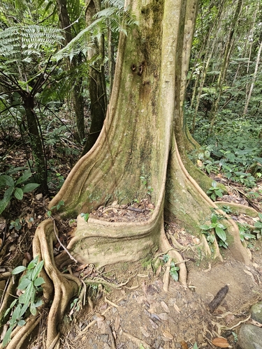 Draco observed 2026-10-23