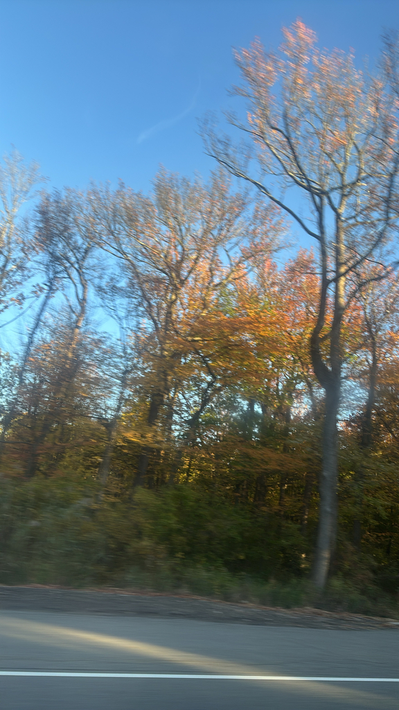 A photograph from Oct 24, 2026 near Lower Hudson Valley & NYC day trips, where the observer’s point is approximate.