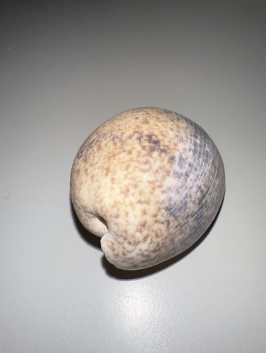 Bulla observed 2026-10-25