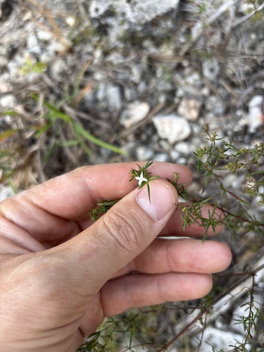 diamond-flowers