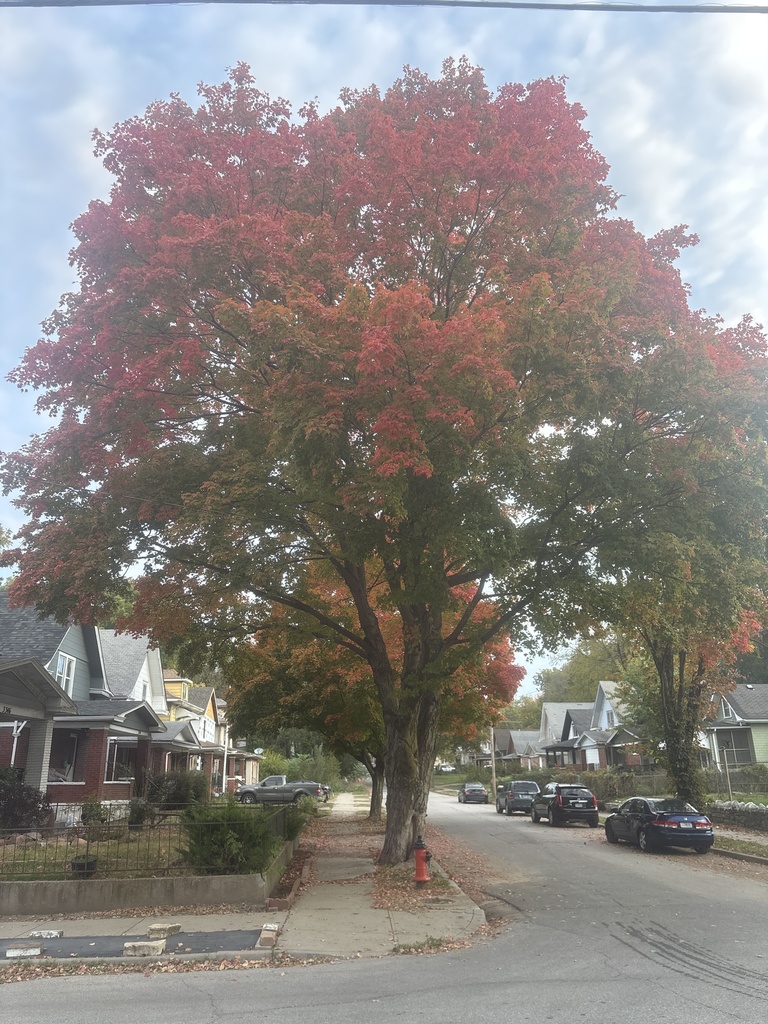 A photograph taken in Missouri on Oct 26, 2026, where the observer’s point is approximate.