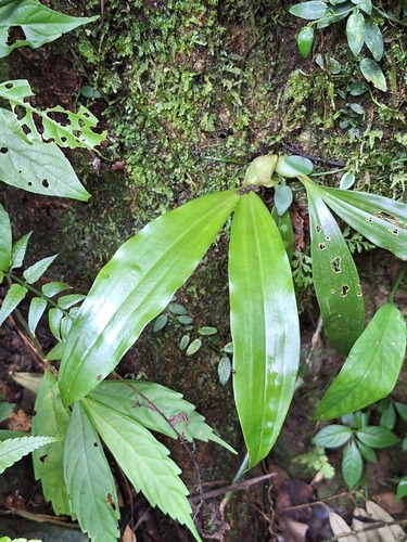 Eria observed 2026-10-26