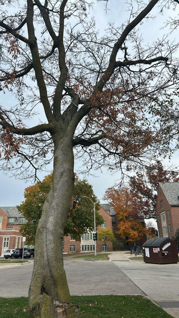 A photograph taken in Michigan on Oct 27, 2026, where the observer’s point is approximate.
