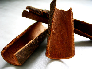 Cassia (Cinnamomum aromaticum)