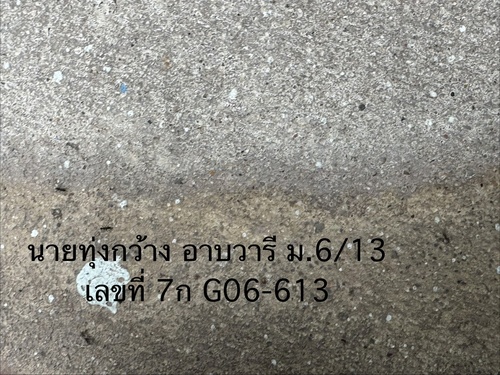 Paratrechina longicornis observed 2026-10-28