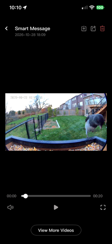 Junco hyemalis observed 2026-10-28
