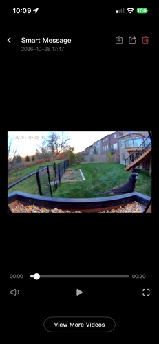 Junco hyemalis observed 2026-10-28
