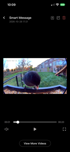 Junco hyemalis observed 2026-10-28