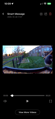 Junco hyemalis observed 2026-10-28