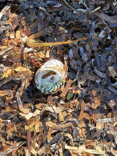 Turbo observed 2026-10-28
