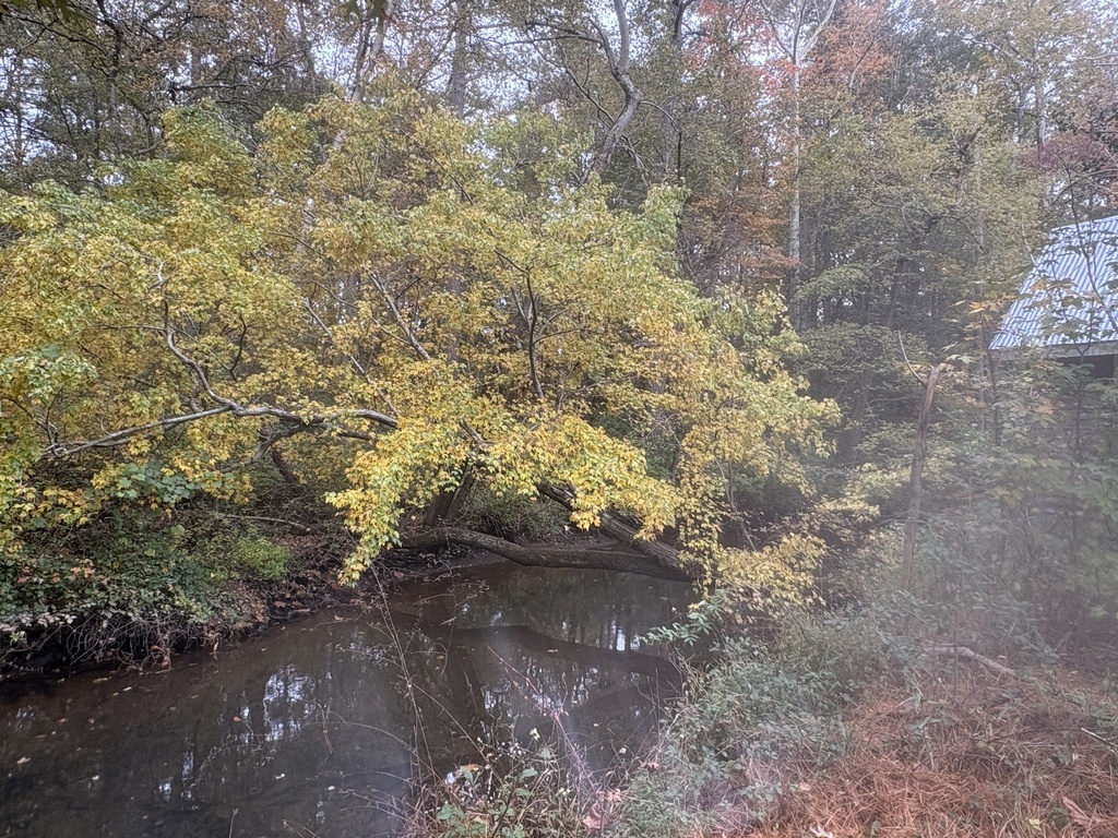 A photograph taken in Delaware on Oct 28, 2026, where the observer’s point is approximate.