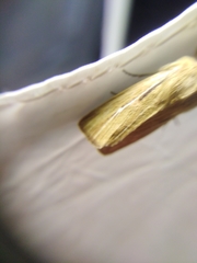 Mythimna anderreggii