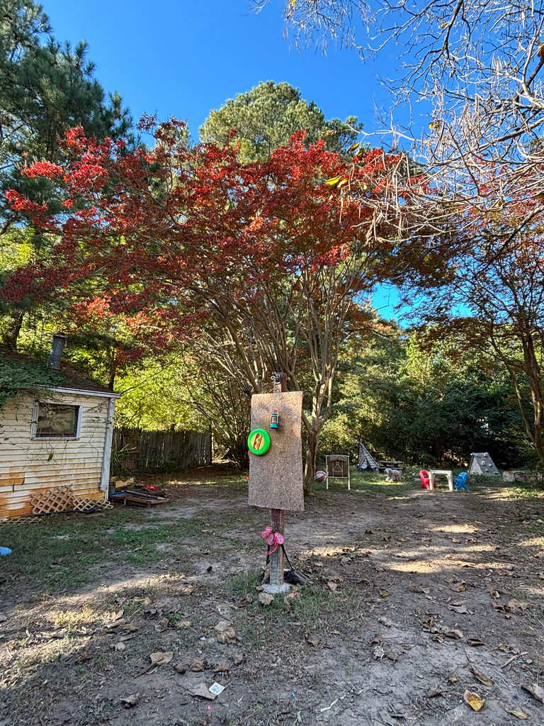 A photograph taken in Virginia on Oct 29, 2026, where the observer’s point is approximate.