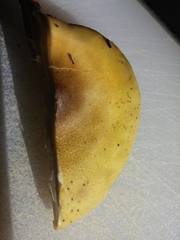 Tricholoma viridiolivaceum