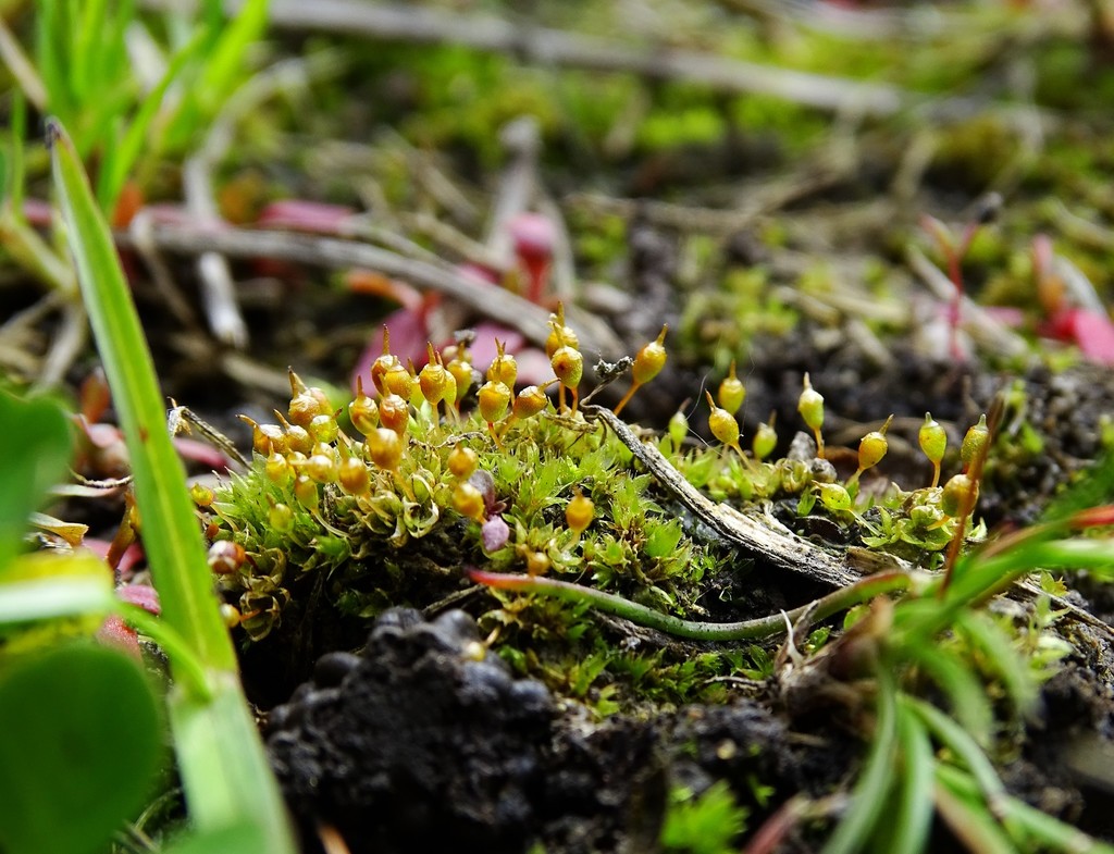 from Tweddle Place, Edmonton, AB T6K, Kanada on May 30, 2020 at 1232 PM by