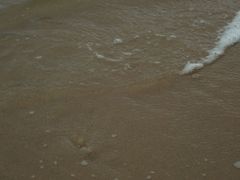 Matuta