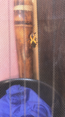 Sephina vinula