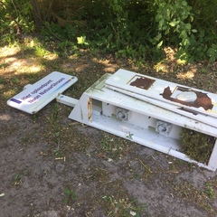 Troglodytes troglodytes