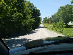 Geococcyx californianus