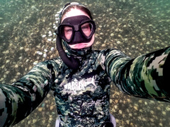 Leptomithrax gaimardii