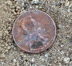 Nemacladus parikhiae