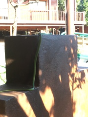 Philothamnus hoplogaster