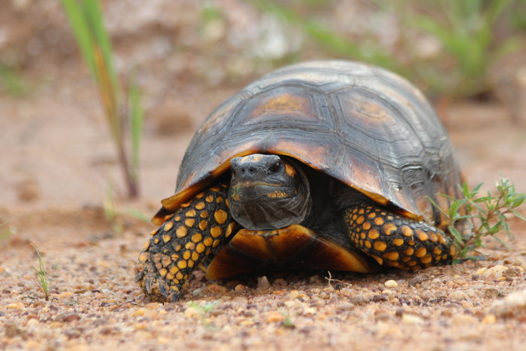 Photo by João Vitor Andriola