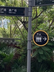 Callosciurus erythraeus