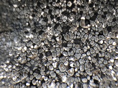 Rhizocarpon geminatum