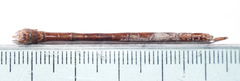 Triacanthagyna septima