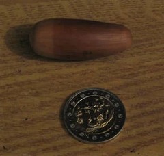 Quercus castaneifolia