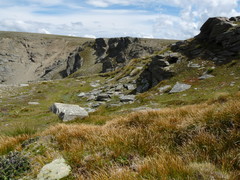 Marsippospermum gracile