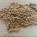 Pertusaria sorodes - Photo (c) Mikey Watson, some rights reserved (CC BY-NC), uploaded by Mikey Watson