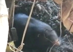 Geomyini