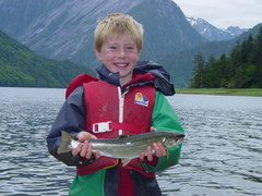 Salvelinus malma