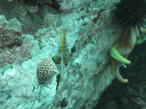 Jordania zonope