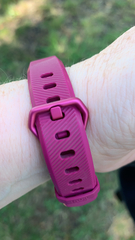 Trirhabda bacharidis