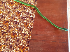 Philothamnus heterolepidotus