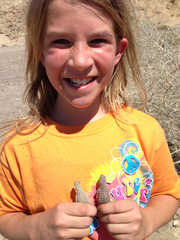 Dipsosaurus dorsalis dorsalis