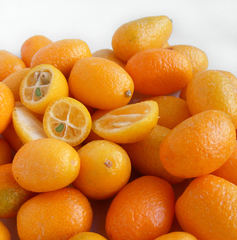 Chinese kumquat